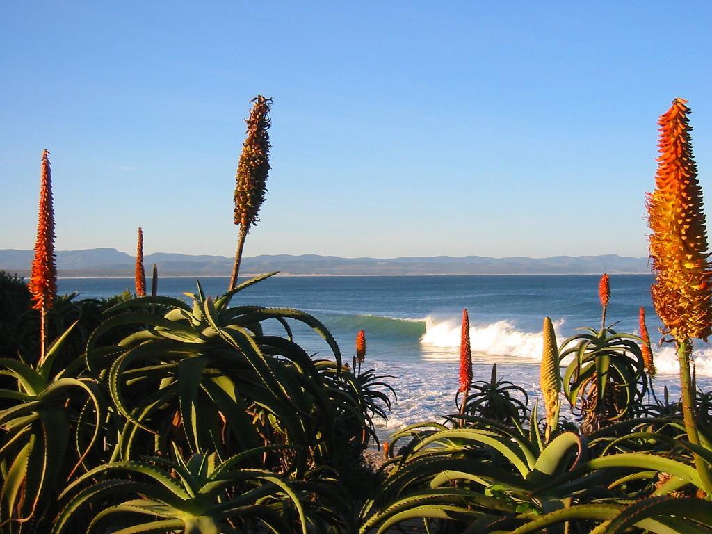 Beach House Jeffreys Bay Luaran gambar