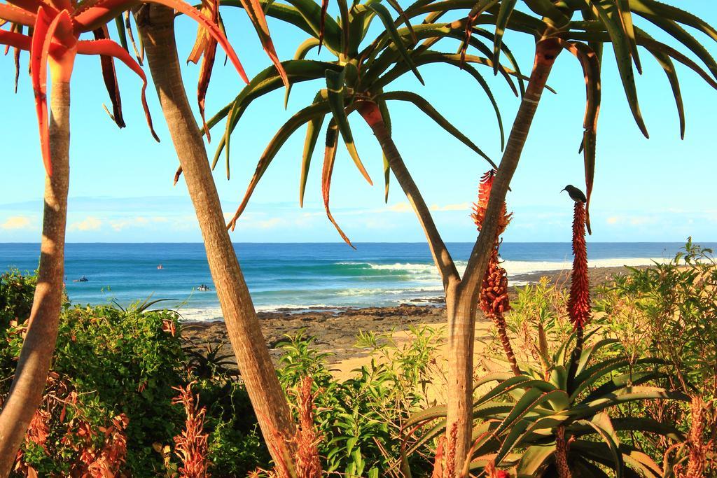 Beach House Jeffreys Bay Luaran gambar